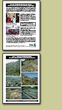 Faktenblatt Great Bear Rainforest